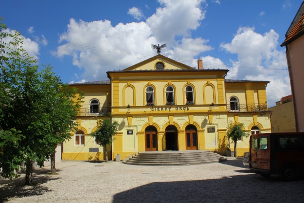 čierny orol