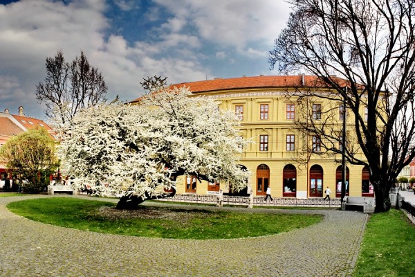 Evanjelické kolégium Prešov