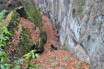 Tiesnava Parkan