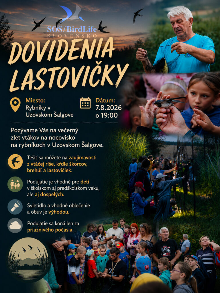 Dovidenia lastovičky v Uzovskom Šalgove